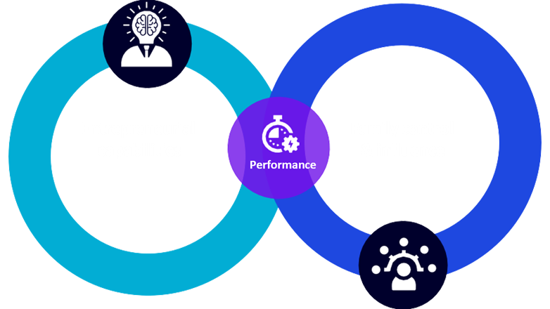 Diagram of Entrepreneurial capabilities and Family control and influence