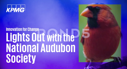 Lights out with the National Audubon Society