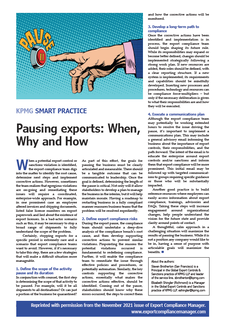 Pausing Exports: When, Why, and How