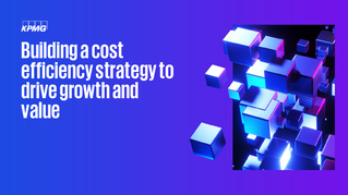 Building a cost efficiency strategy to drive growth and value