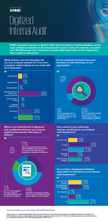 Digitized internal audit