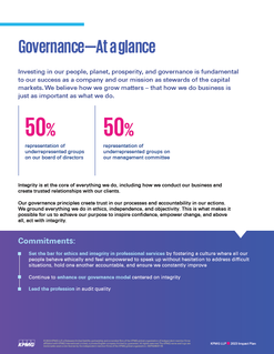 Principles of governance at a glance