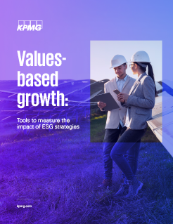 Values-based Growth: Tools to Measure the Impact of Sustainability