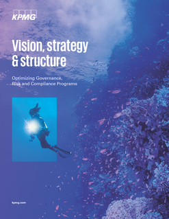 Vision strategy & structure