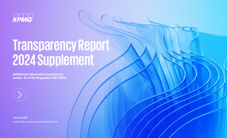 2024 EU Supplement (January 2025)