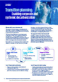 Transition planning: Enabling corporate and systemic decarbonization