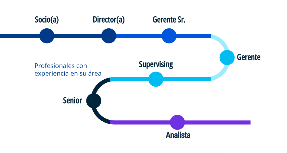 Plan de Carrera KPMG